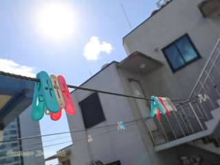 시설보기